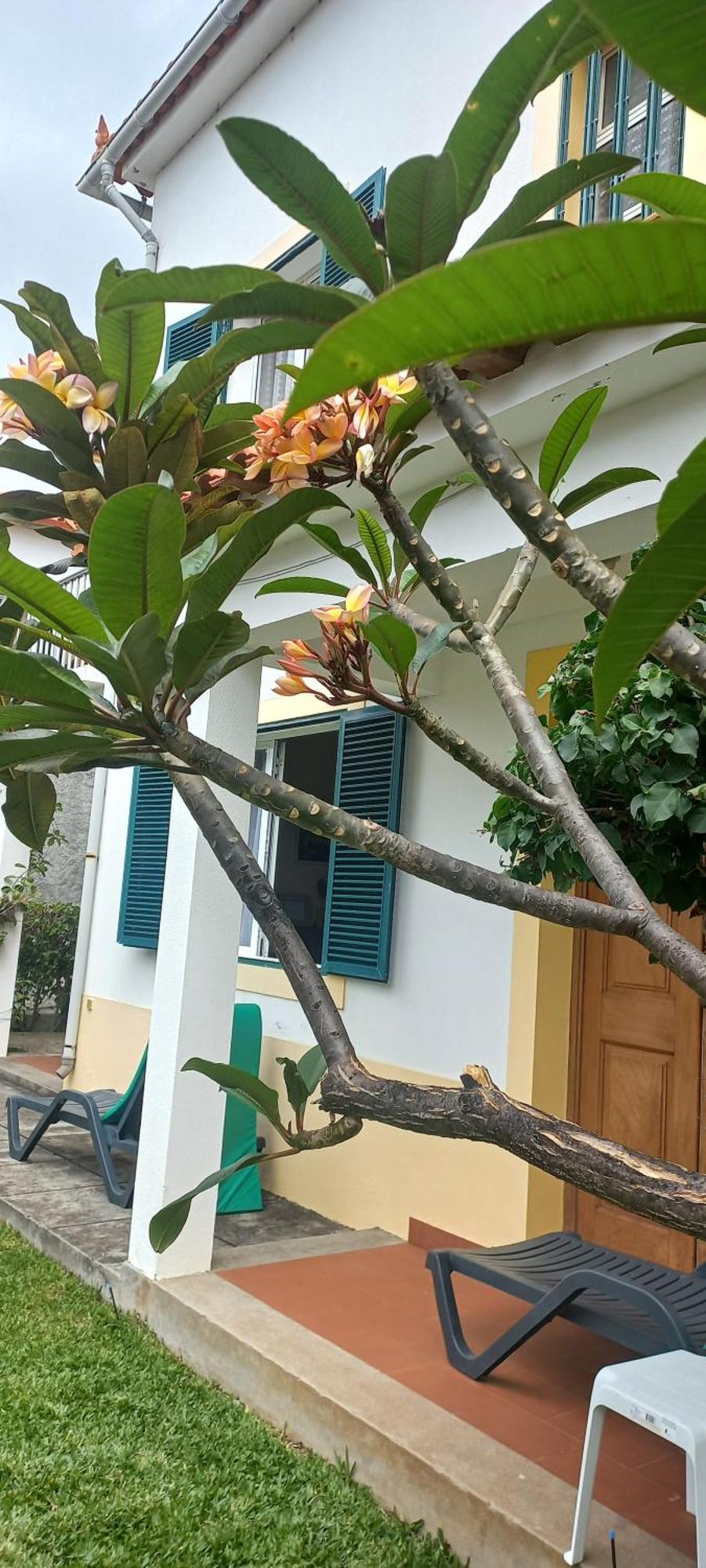 Dom wakacyjny Cosy Nook Funchal (Madeira)